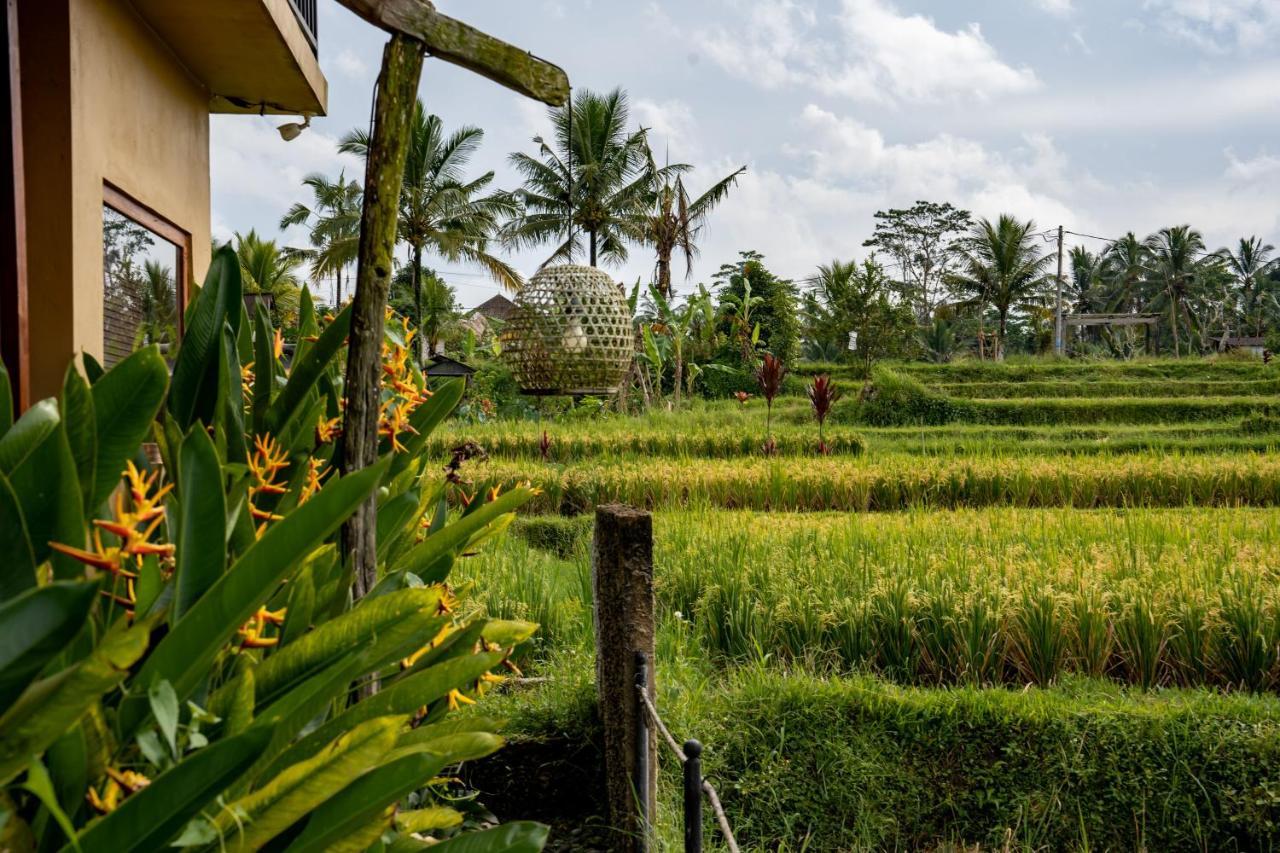 Barong Bali Villas Ubud  Luaran gambar